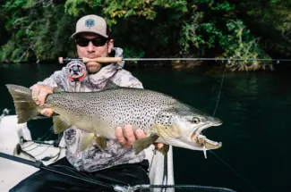 A nice lake brown trout