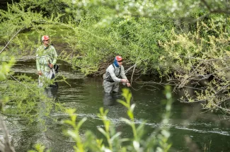 Fishing a side channel of the Malleo