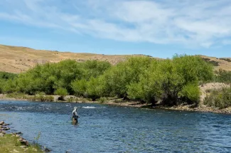 Fishing the Malleo