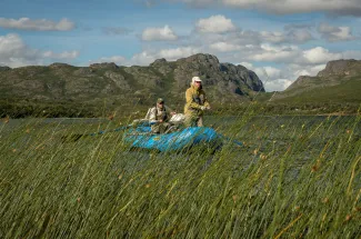 Fishing the read beds