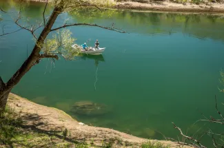 Sight casting on the Alumine to rising trout