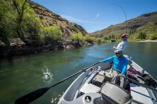 Fishing the willow worm hatch on the Alumine