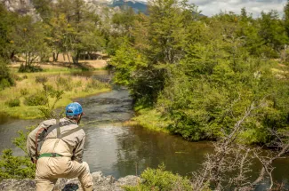 Hunting for spring creek browns