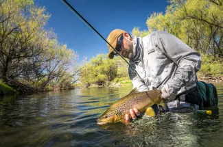 Collong Cura brown trout