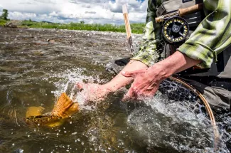 Catch and release fishing 