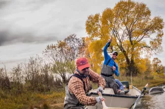 Landing a nice trout on the Yellowstone River