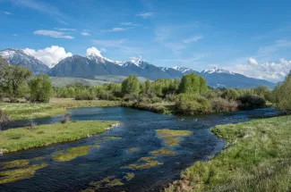 Fly fishing on Armstrong's Spring Creek