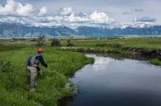 Tributary of the East Gallatin River