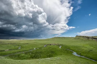 Montana Spring Creek