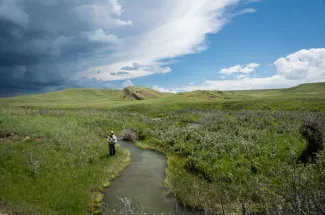 Spring Creek fishing on a private Montana Ranch