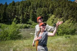 The Madison River 