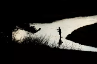 Fisherman on the Madison River