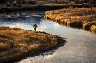 Fly fishing on the Upper Madison