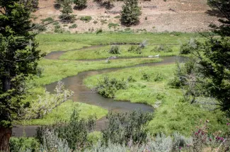 Fishing the North Fork of the MusselShell river