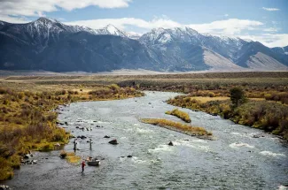 Madison River View fall 