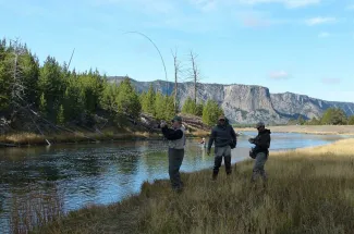 madison river fly fishing