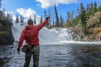 lewis river fly fishing