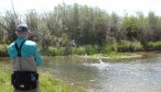 fly fishing montana