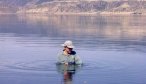 montana trout fishing