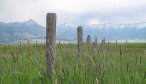 Montana Angler, Montana Fishing Lodges