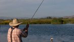 Montana Angler Fly Fishing