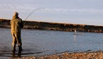 Rio Grande Fly Fishing