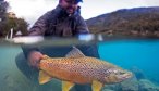 Montana Angler Patagonia Fly Fishing