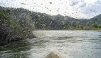 Caddis Hatch on Yellowstone river