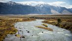 Madison River View fall