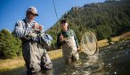 madison river fly fishing guides