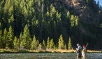 madison river fly fishing