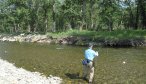 montana fly fishing