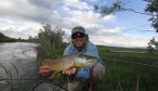 montana fly fishing