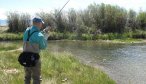 montana fly fishing