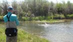 fly fishing montana