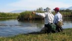 fly fishing east gallatin river