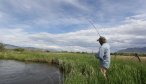 trout fishing montana