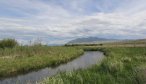 fly fishing creeks in montana