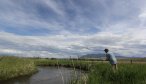 montana fly fishing