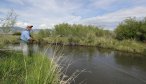 fly fishing for trout