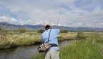 mill creek fly fishing