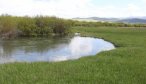 guided trout fly fishing montana