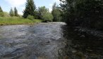 trout fishing montana