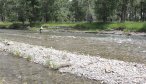 shoreline on the sweet grass creek