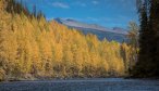 Fishing the Skeena system for steelhead