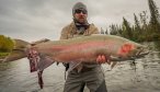 Monster Steelhead