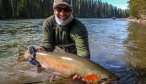 Big BC steelhead Sustut River