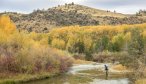 Ruby river fall trout fishing