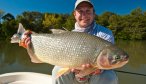 Argentina Fly Fishing