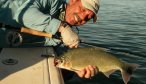 Montana Angler Fly Fishing Trips